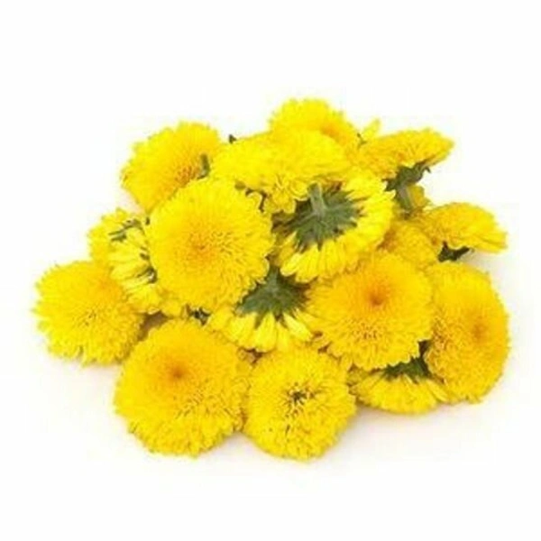 Yellow flower