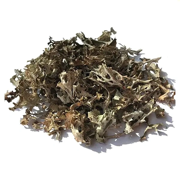 Chhadila