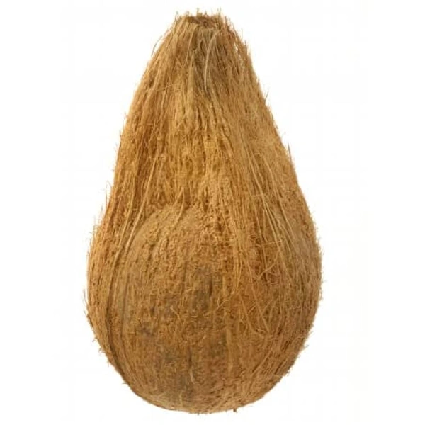 Nariyal Jata