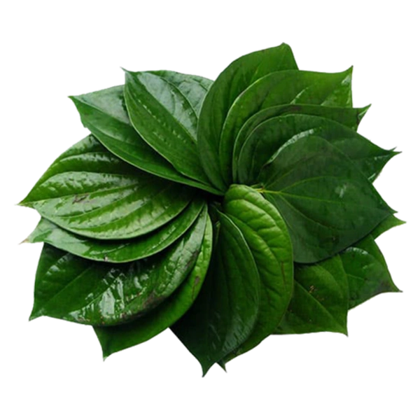 Paan Patta