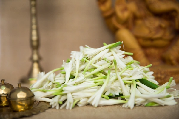 White lily (loose)