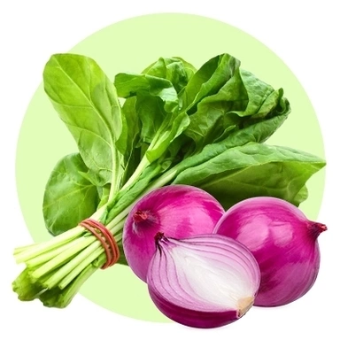 Fresh Vegetables
