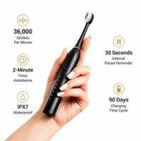 Sonic Electronics Toothbrush