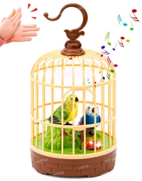 Indian Stuff Musical Singing Bird Cage Toy - Turbo