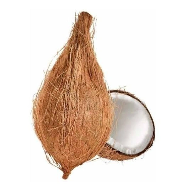 Coconut - 1 Piece (Big)