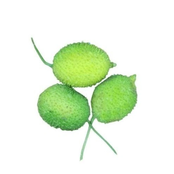 Kakoda - 250g