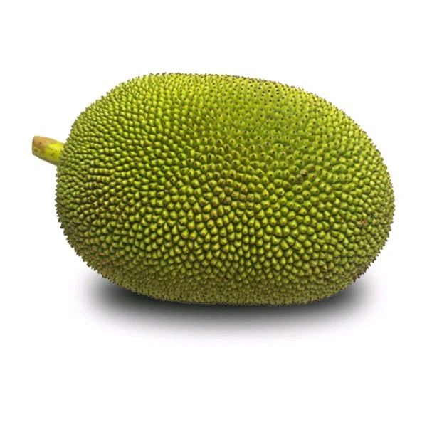 Jack Fruit (Raw) - 1 Kg