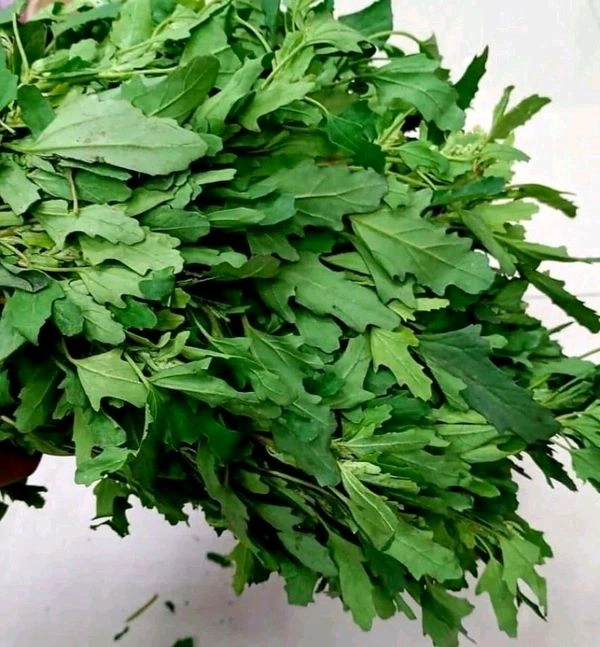 Bathua - 1 Bunch 