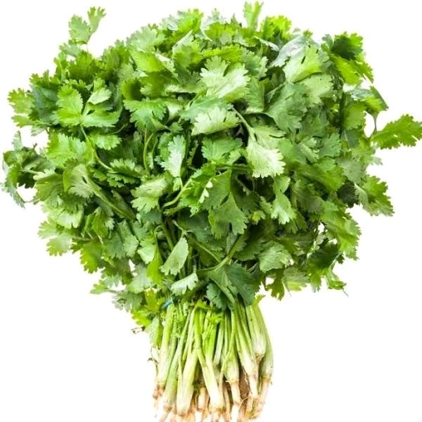 Coriander - 1 Bunch 