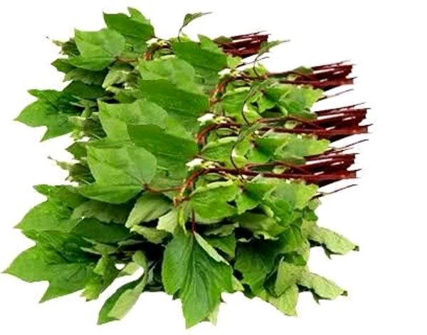 Gongura - 1 Bunch 