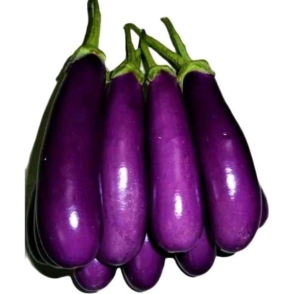 Brinjal Purple - 250 Grms