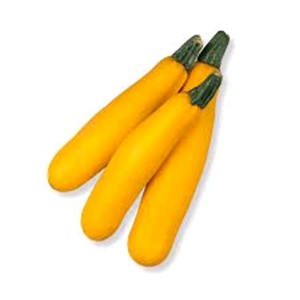 Zucchini Yellow - 250 Grm