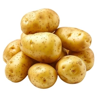 Aalu Potato