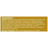 Esme Consumer Pvt. Ltd. Nature Gold Cream Bleach - 43 gm.