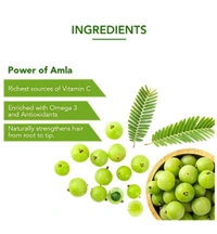 Dabur India Ltd. Dabur Amla Hair Oil - 450 ml + 90 ml Free.