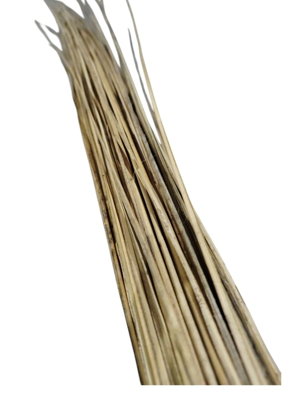Coconut Broom (Manjha) - 1N.