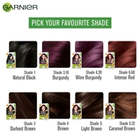 L'Oréal. Garnier Natural Brown Hair Colour No. 4 - 70 ml + 60 gm.