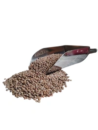 Masoor Sabut Dal - 1 Kg.