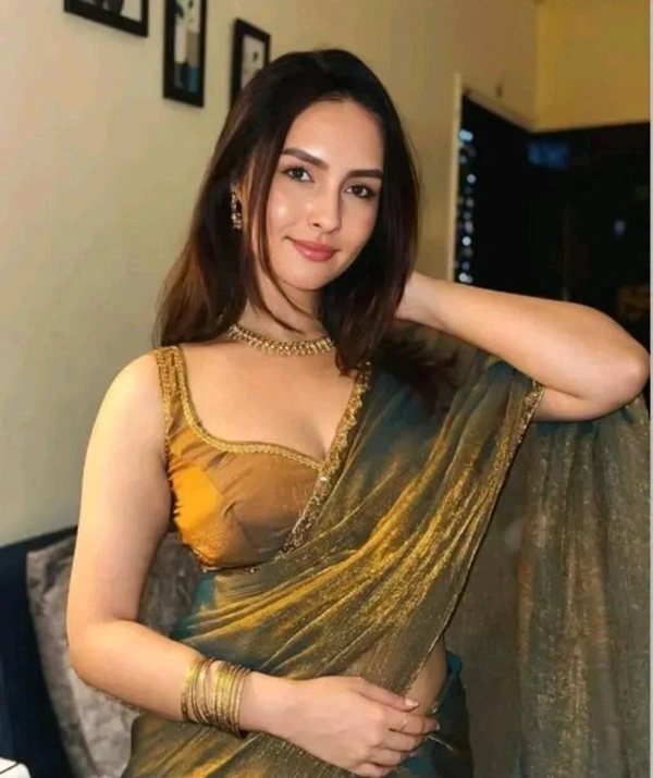 Golden Saree With Border Work  - Potters Clay, Free Size