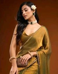 Golden Saree With Border Work  - Potters Clay, Free Size