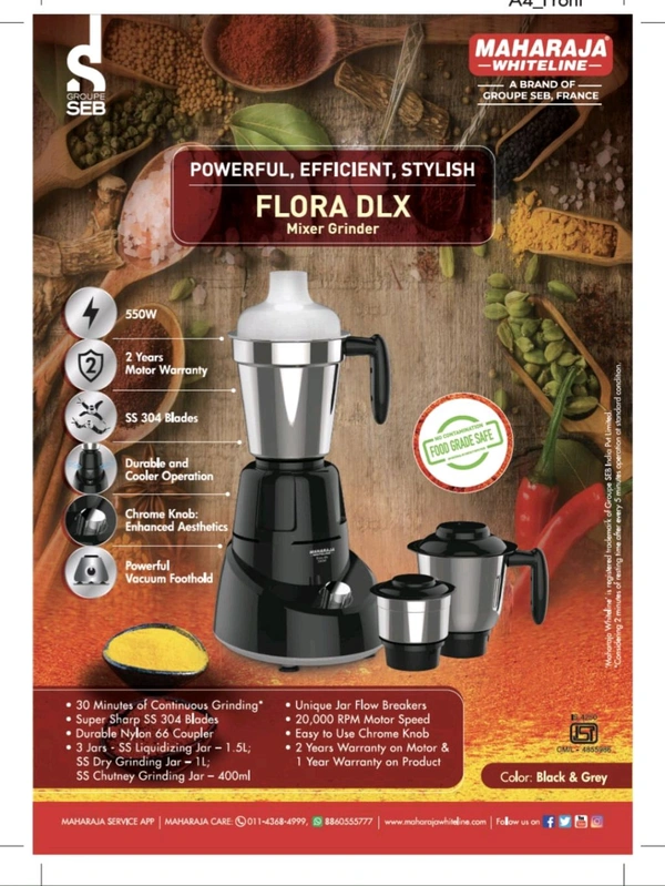 Maharaja Flora Dlx 550W Mixture With Iron Combo