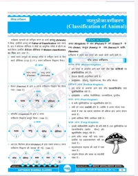 Satyadhi Sharma Classes वर्ग 3 शिक्षक चयन परीक्षा विज्ञान पुस्तक
Science Book for Class 3 Teacher Recruitment ( Updated for 2025 Syllabus | Expert-Curated Content by Satyadhi Sharma Classes | Hindi Medium