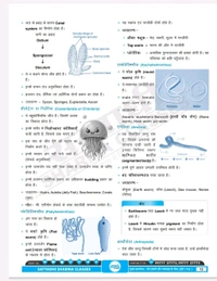 Satyadhi Sharma Classes वर्ग 3 शिक्षक चयन परीक्षा विज्ञान पुस्तक
Science Book for Class 3 Teacher Recruitment ( Updated for 2025 Syllabus | Expert-Curated Content by Satyadhi Sharma Classes | Hindi Medium
