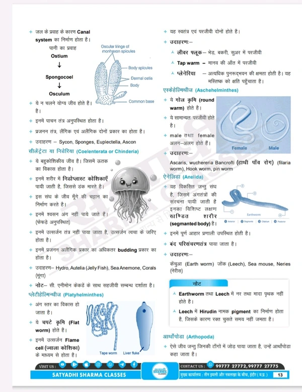 Satyadhi Sharma Classes वर्ग 3 शिक्षक चयन परीक्षा विज्ञान पुस्तक
Science Book for Class 3 Teacher Recruitment ( Updated for 2025 Syllabus | Expert-Curated Content by Satyadhi Sharma Classes | Hindi Medium