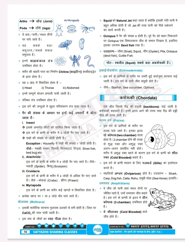 Satyadhi Sharma Classes वर्ग 3 शिक्षक चयन परीक्षा विज्ञान पुस्तक
Science Book for Class 3 Teacher Recruitment ( Updated for 2025 Syllabus | Expert-Curated Content by Satyadhi Sharma Classes | Hindi Medium