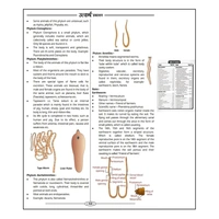 Utkarsh General Studies Book (English Medium)
By Utkarsh Classes