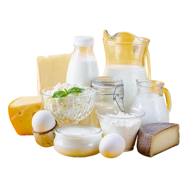 Dairy Products