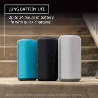 Sony SRS-XE300 X-Series Bluetooth Speaker - Black - Black