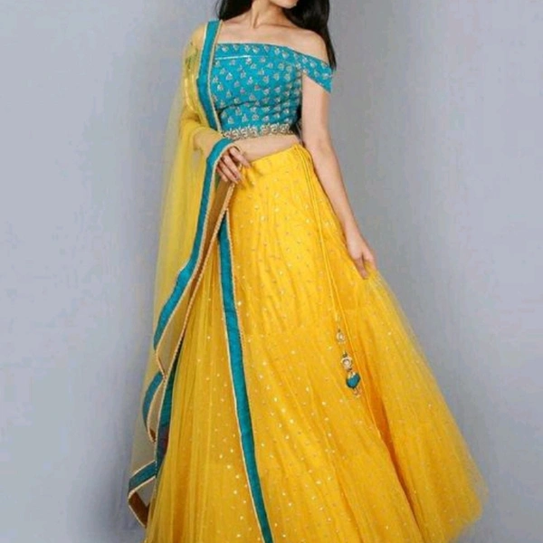 Embroidered Net Lehenga 