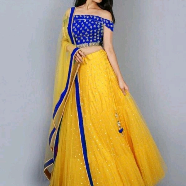Embroidered Net Lehenga 