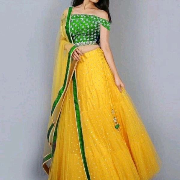 Embroidered Net Lehenga 