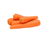 Carrot