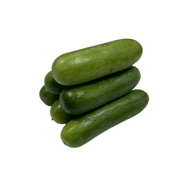 Cucuber Hybrid Cucumber - 3 KG