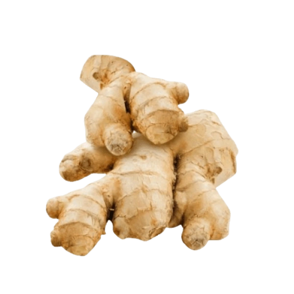 Ginger