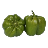 Capsicum
