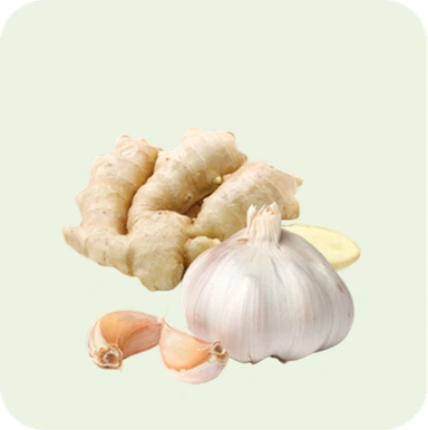 Ginger & Garlic
