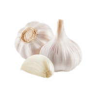 Garlic Imported