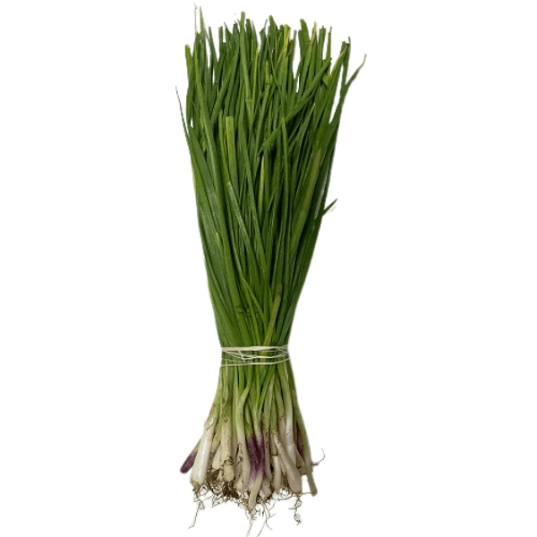 Spring Onion - 1 KG