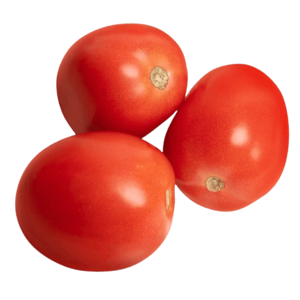 Tomato Hybrid Tomato - 10 KG