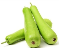 Bottle Gourd (Lauki)