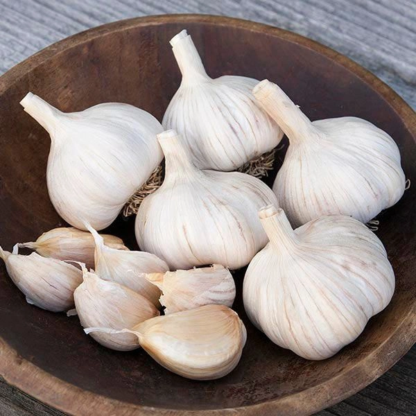 GARLIC (LASUN) - 1kg