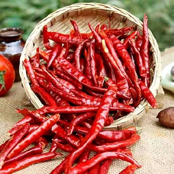 Red Chilli 100g (Pack) - 100g