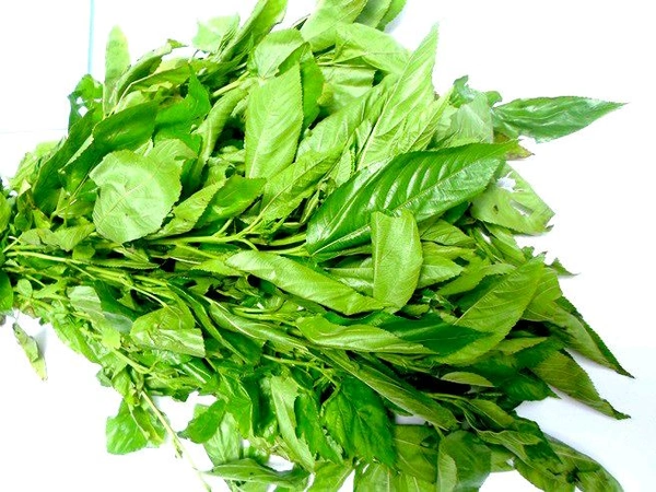 Path Saag 1 Pices - 1 Pices