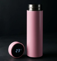 Vacuum Temperature Insulated Water Bottle (1 Pc / 500ML)