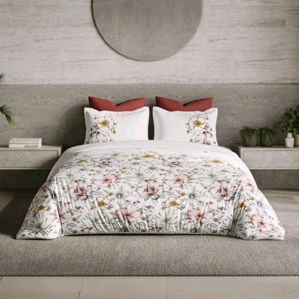 Ddecor 100% Cotton King size Bedsheet With Pillow Cover In Ahmedabad Gujarat India