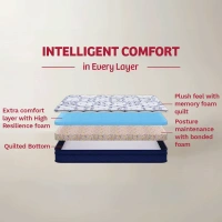 Kurlon Mattressess Kurlon Spine Therapy 6 inch Mattressess- 7 years warranty In Ahmedabad Gujarat India - Navy Blue, 72 x 36 x 6